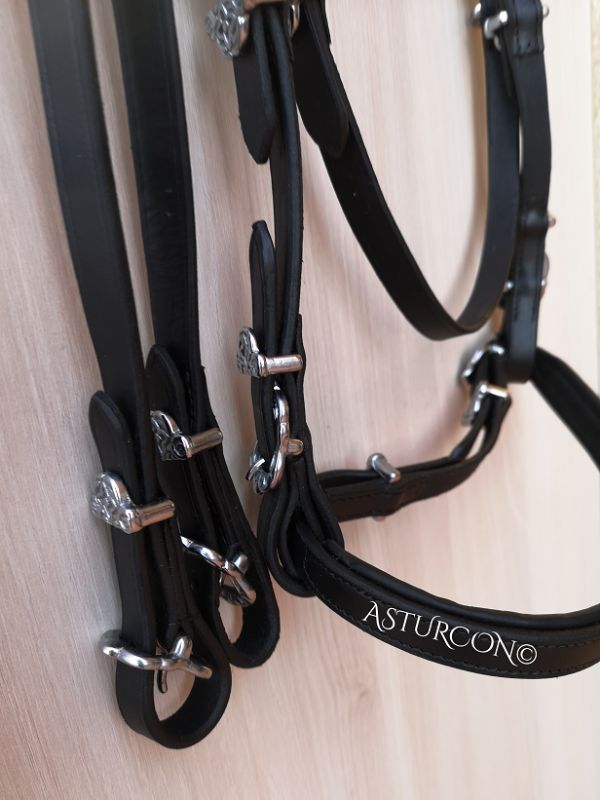 Simple Portuguese Bridle